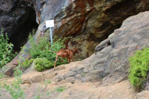 2018 Ausbildungswoche Arber